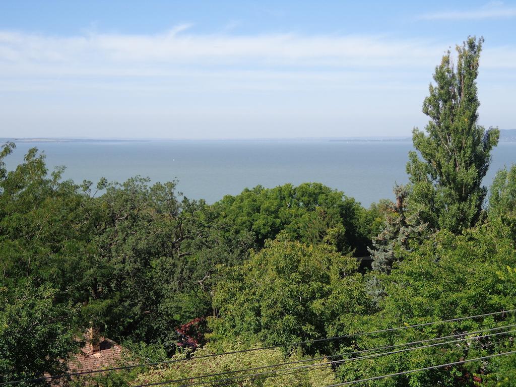 Traumblick Appartement Am Balaton Фоньод Номер фото